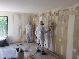 Best Mold Damage Restoration  in East St Louis, IL